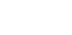 logo vfm white